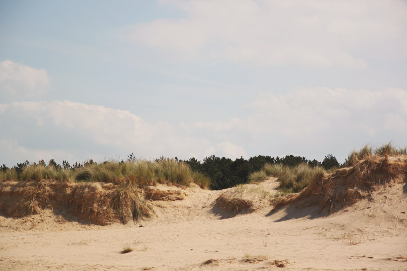 Wells-next-the-sea Beach Sand Dunes