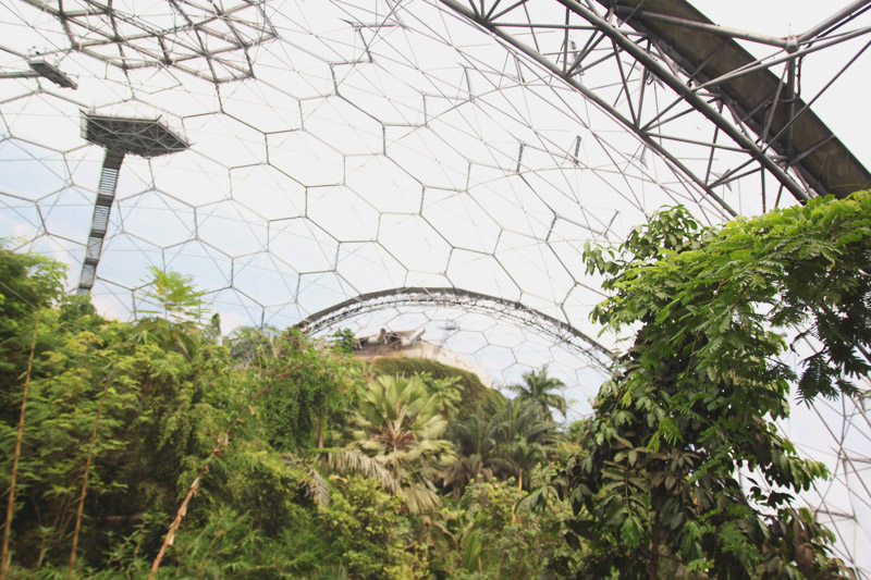 Eden Project - Rainforest Biome