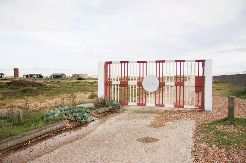 Dungeness Nature Reserve