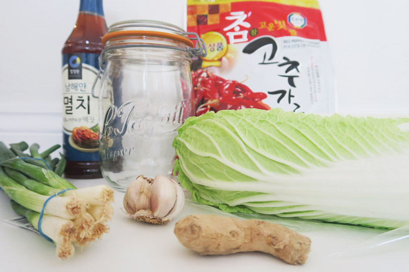 Homemade Kimchi Recipe