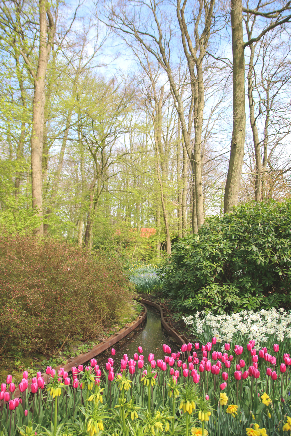 Flower Displays at Keukenhof Gardens, Holland
