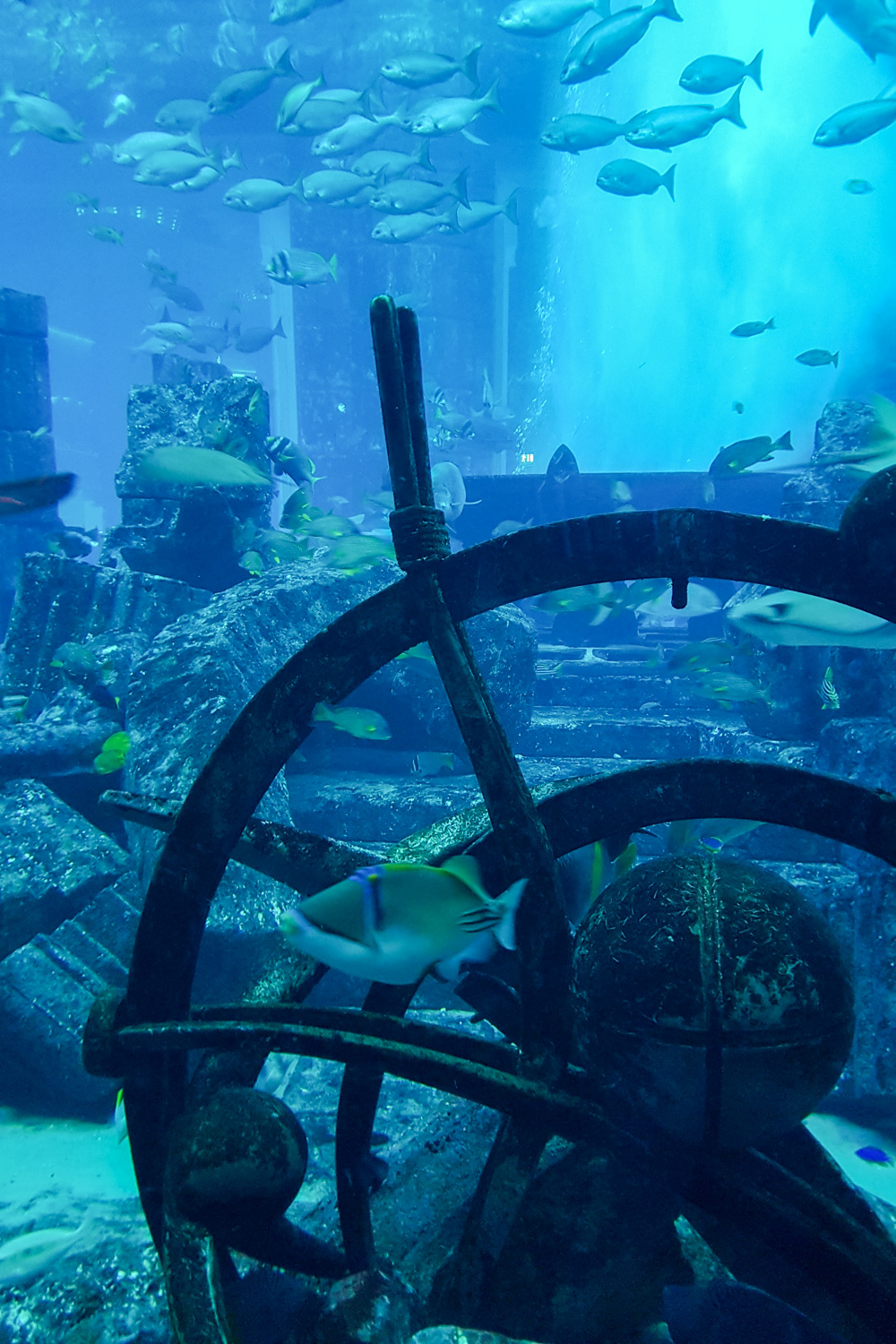 The Lost Chambers Aquarium at Atlantis the Palm, Dubai
