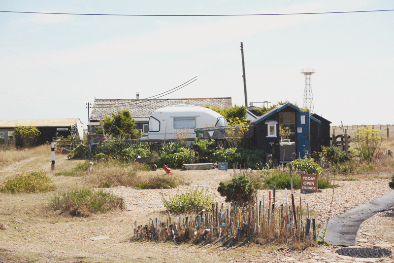 Dungeness