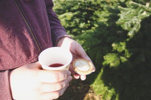 At The Christmas Tree Farm - April Everyday