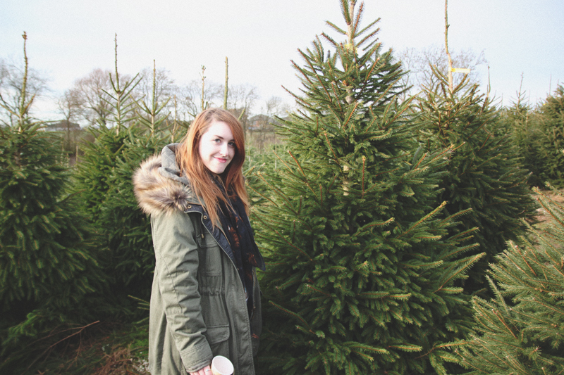 At The Christmas Tree Farm - April Everyday