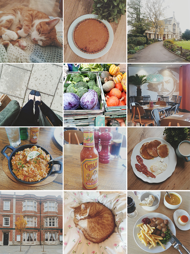 November Recap // aprileveryday