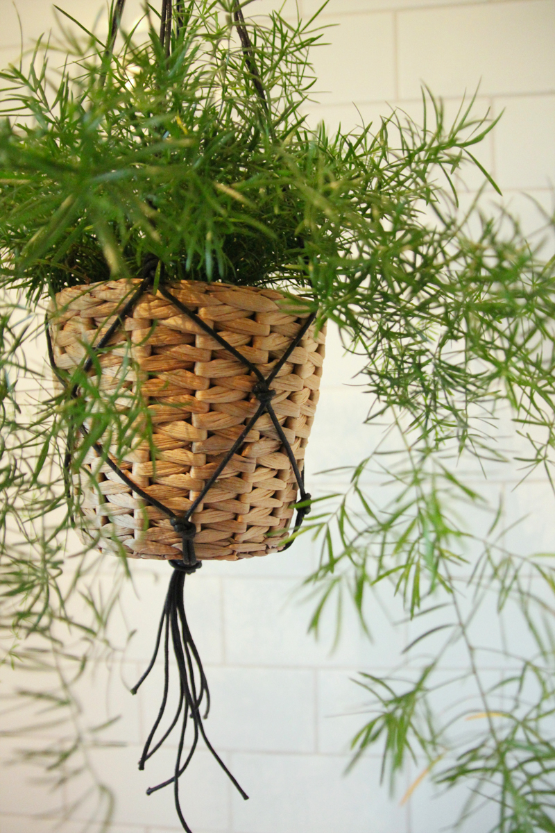 DIY Macrame Hanger