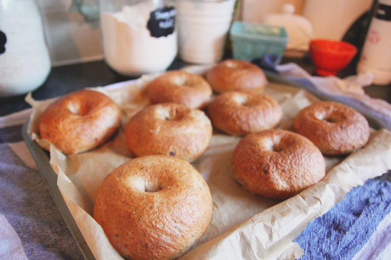 Red Onion & Chive Bagels