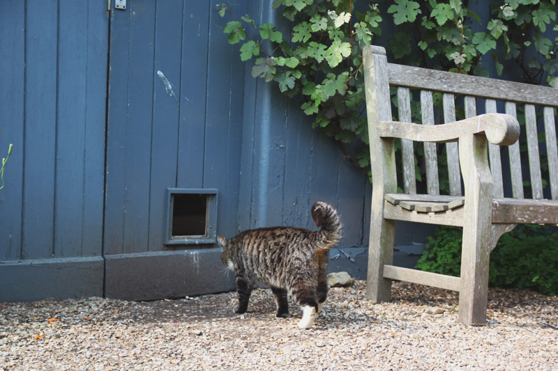 Peckover House & Gardens