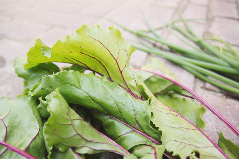 Beetroot Leaves