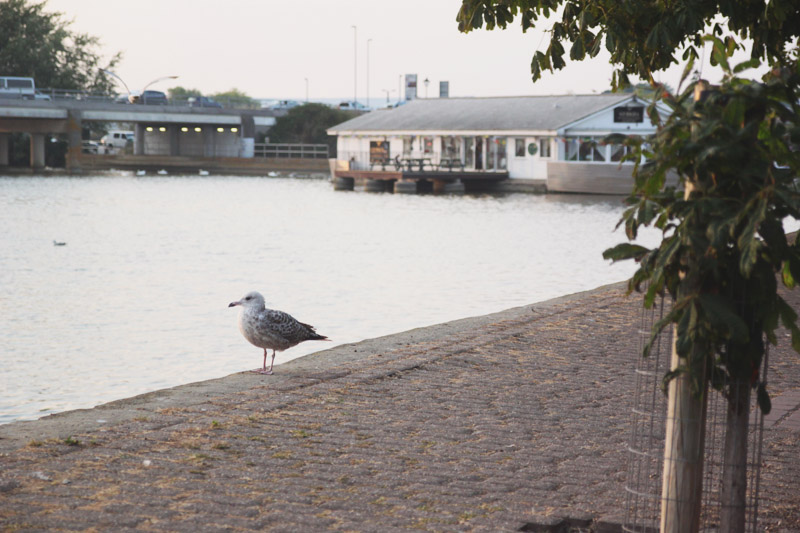 Weymouth Marina