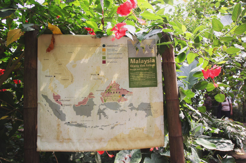 Eden Project - Rainforest Biome