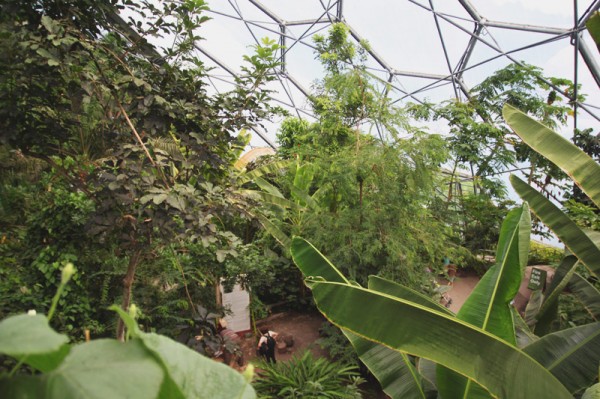 Eden Project Part 1 - The Rainforest Biome - April Everyday