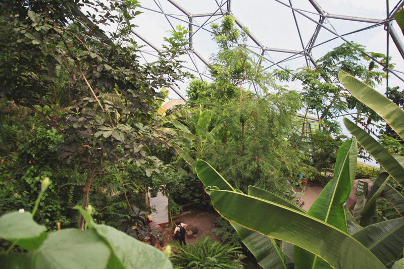 Eden Project - Rainforest Biome