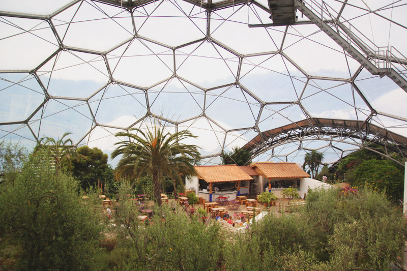 Eden Project - Mediterranean Biome