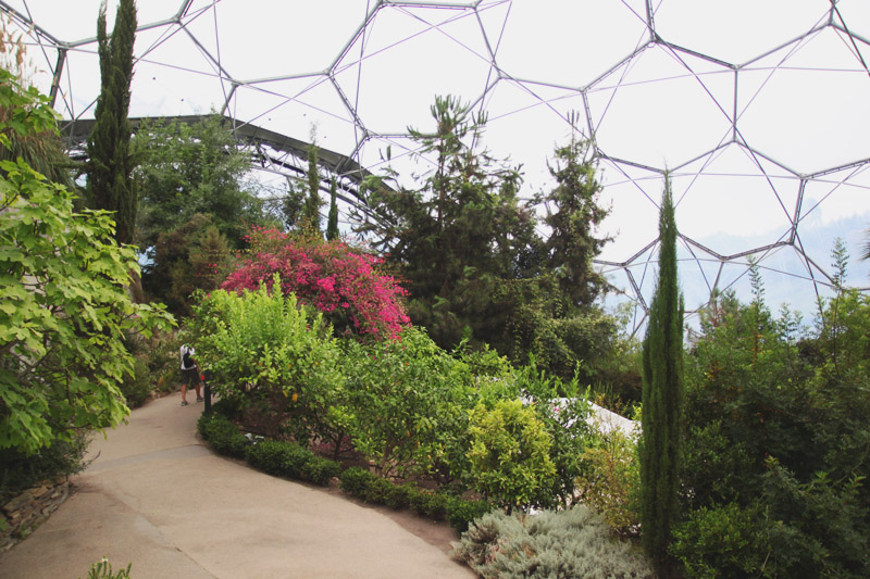 Eden Project - Mediterranean Biome