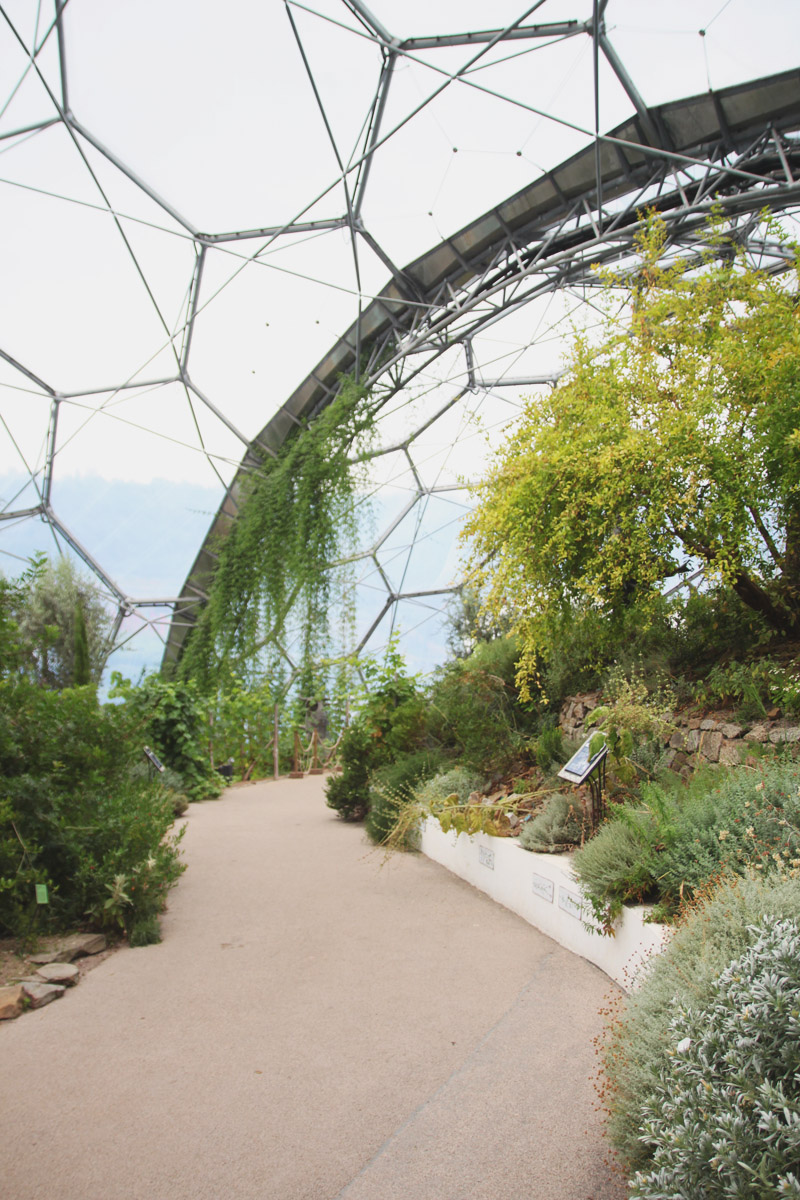 Eden Project - Mediterranean Biome