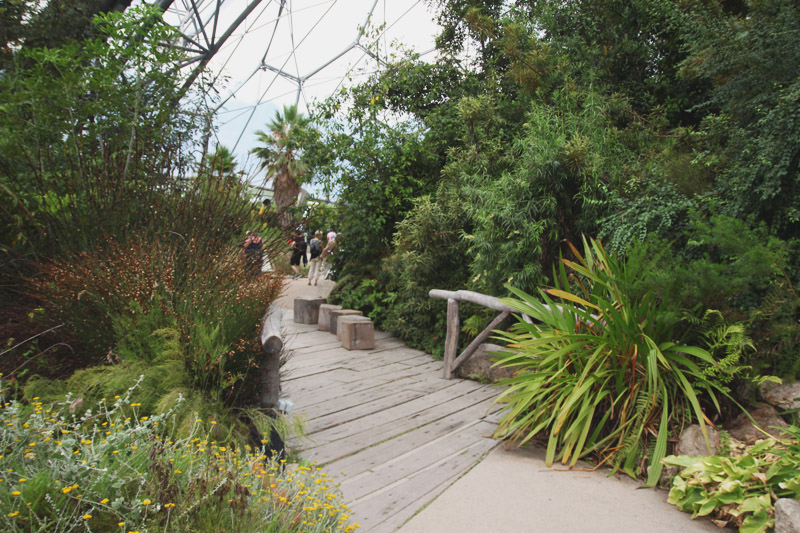 Eden Project - Mediterranean Biome