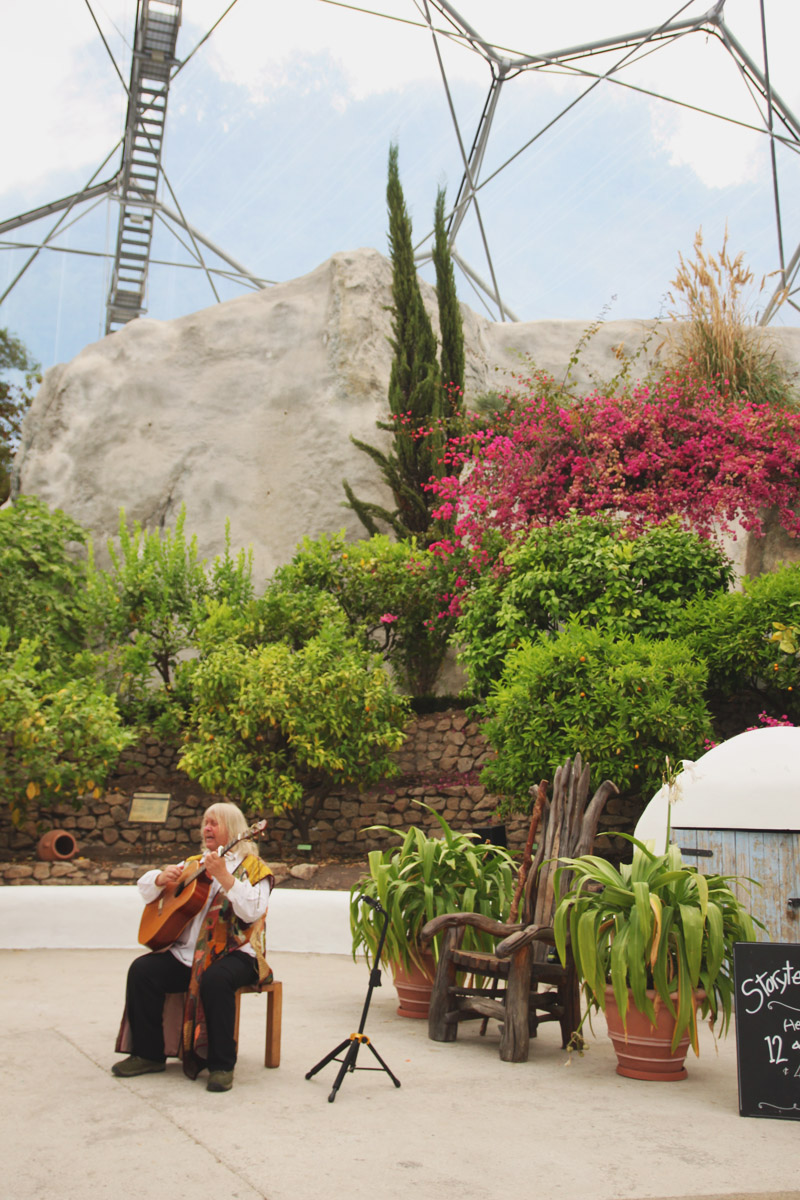 Eden Project - Mediterranean Biome