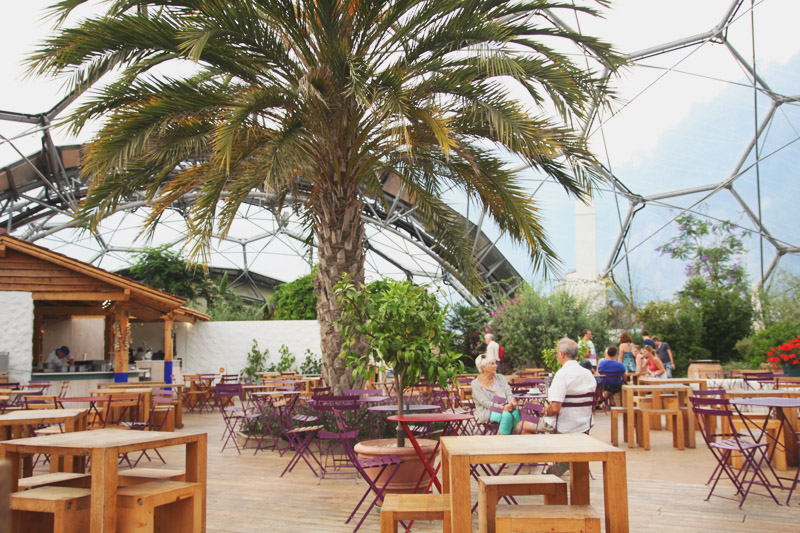 Eden Project - Mediterranean Biome