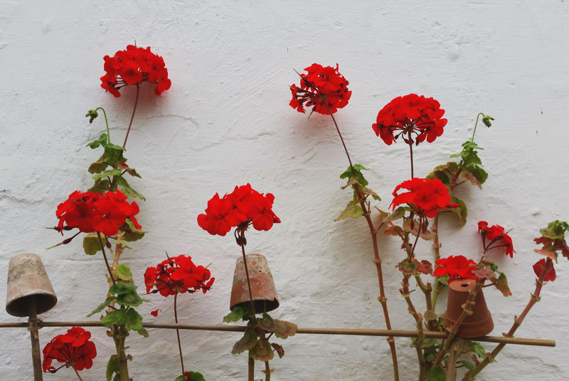 Clumber Park Walled Kitchen Garden