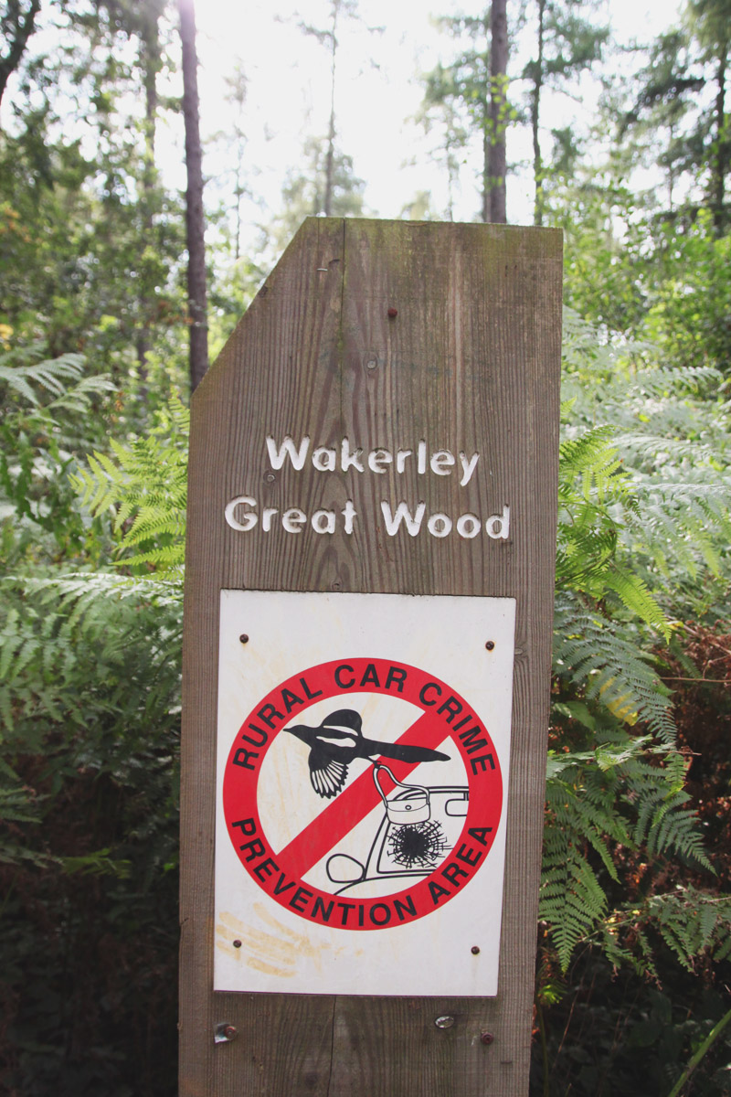 Wakerly Woods