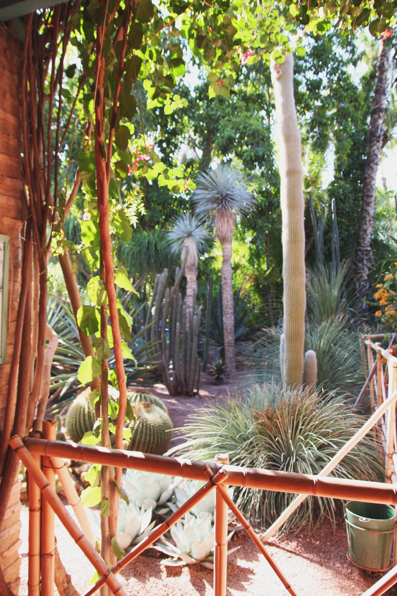 Jardin Majorelle, Marrakech