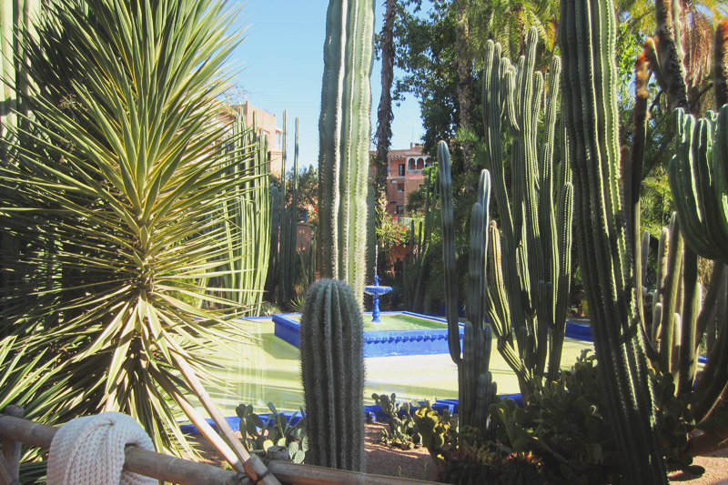 Jardin Majorelle, Marrakech