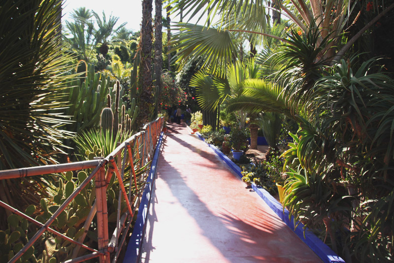 Jardin Majorelle, Marrakech