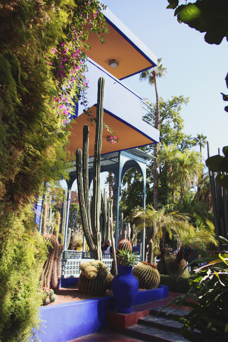 Jardin Majorelle, Marrakech