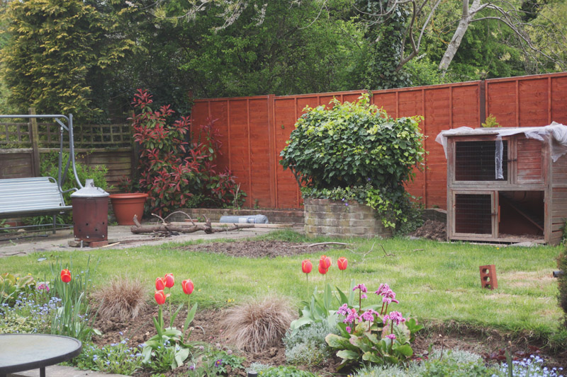 Vegetable Garden - Back Garden Patch