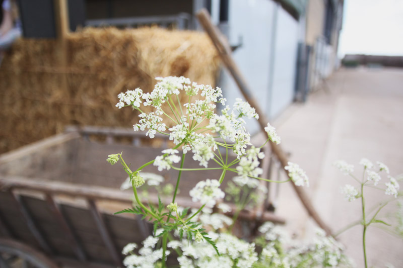 Daylesford Summer Festival