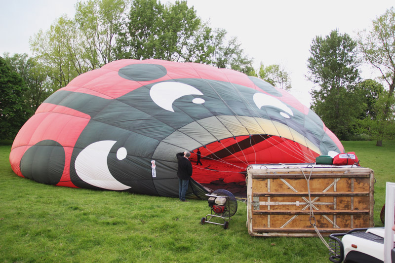 Ladybird Hot Air Balloon