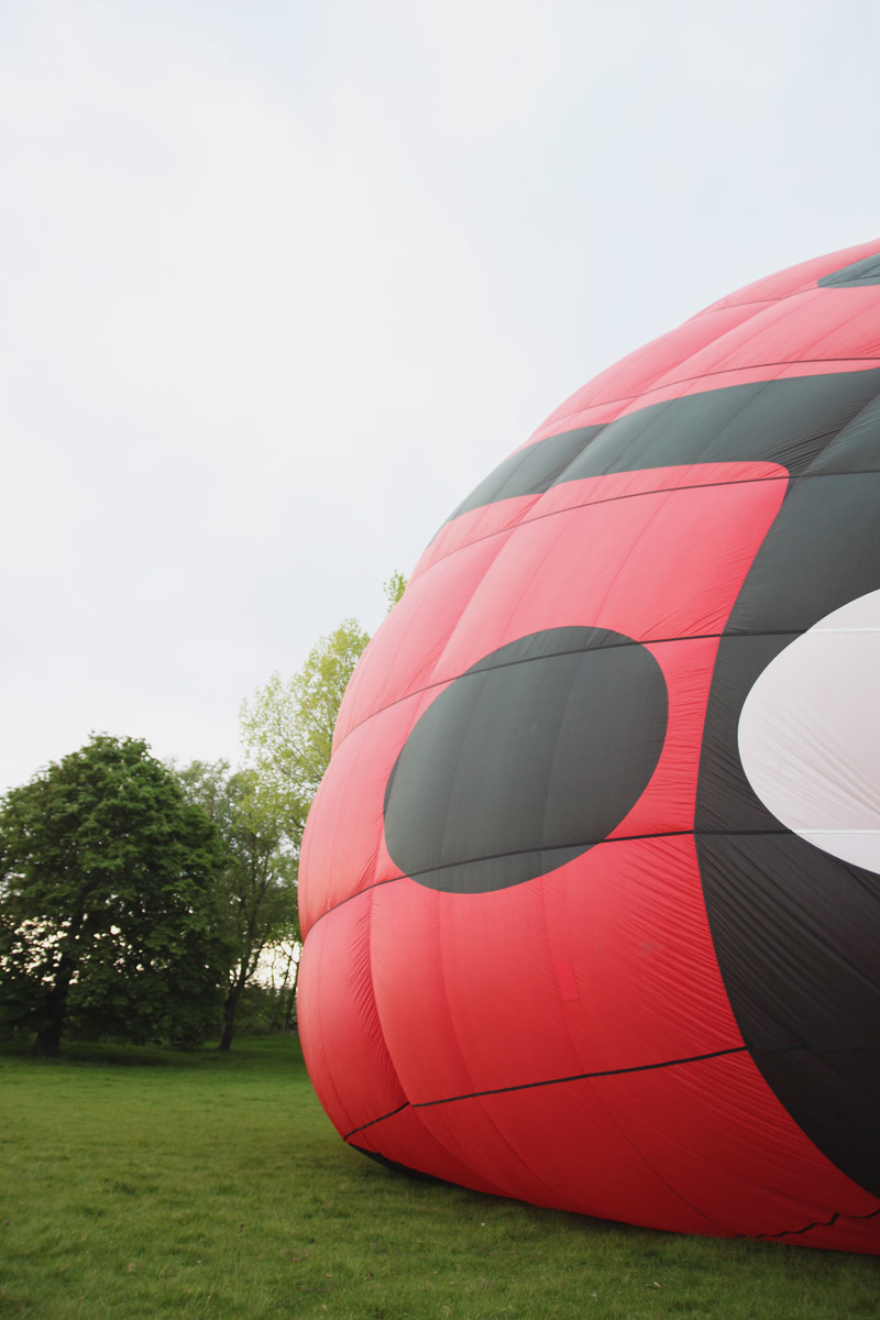 Ladybird Hot Air Balloon