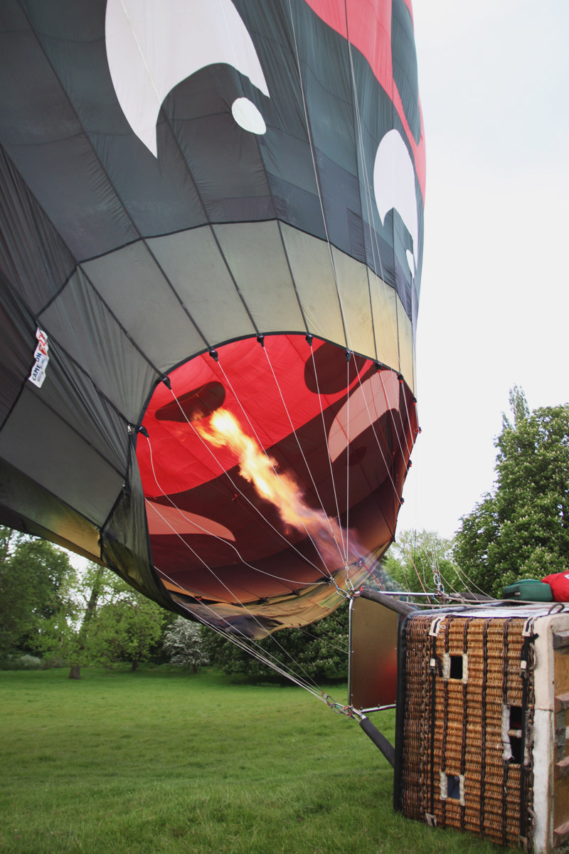 Ladybird Hot Air Balloon