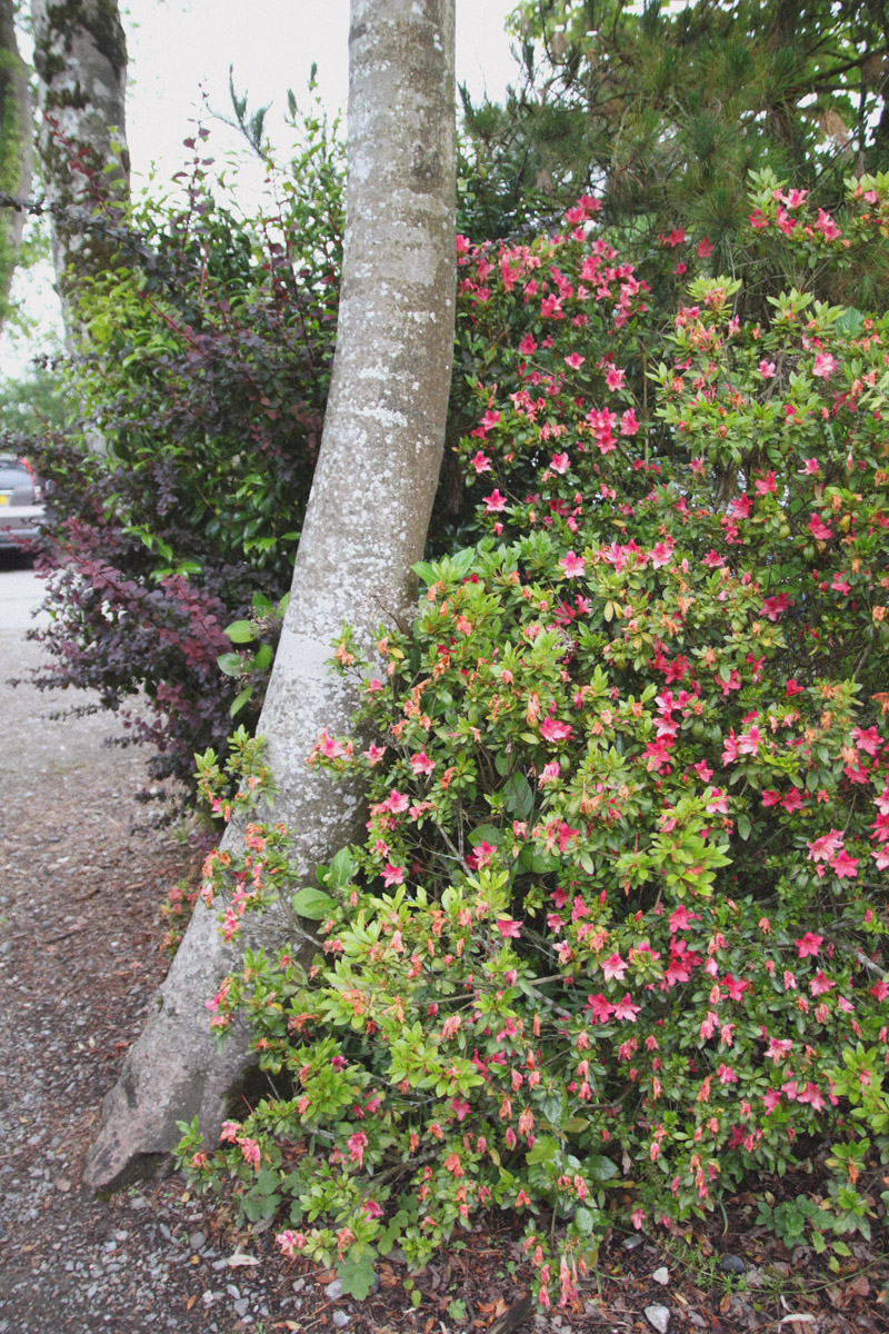 The Lost Gardens of Heligan