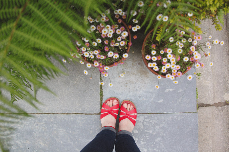 The Lost Gardens of Heligan