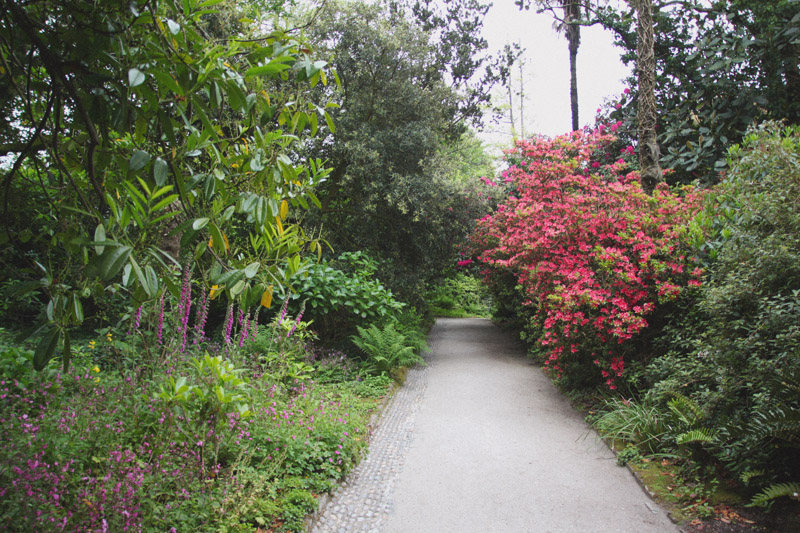 The Lost Gardens of Heligan