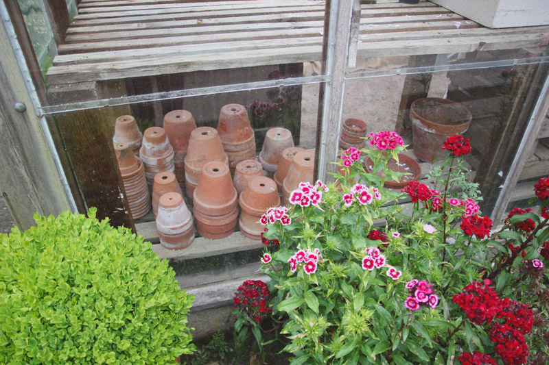 The Lost Gardens of Heligan