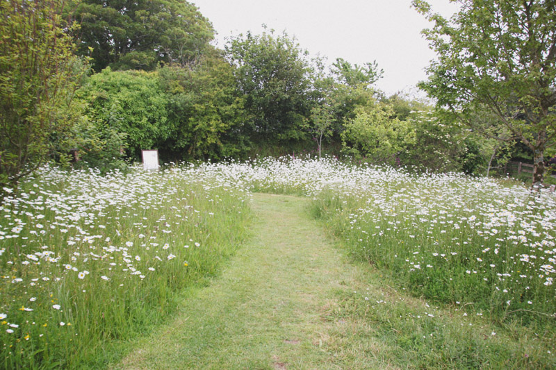 The Lost Gardens of Heligan