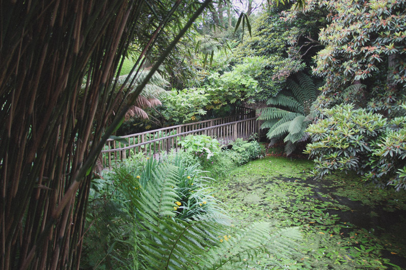 The Lost Gardens of Heligan