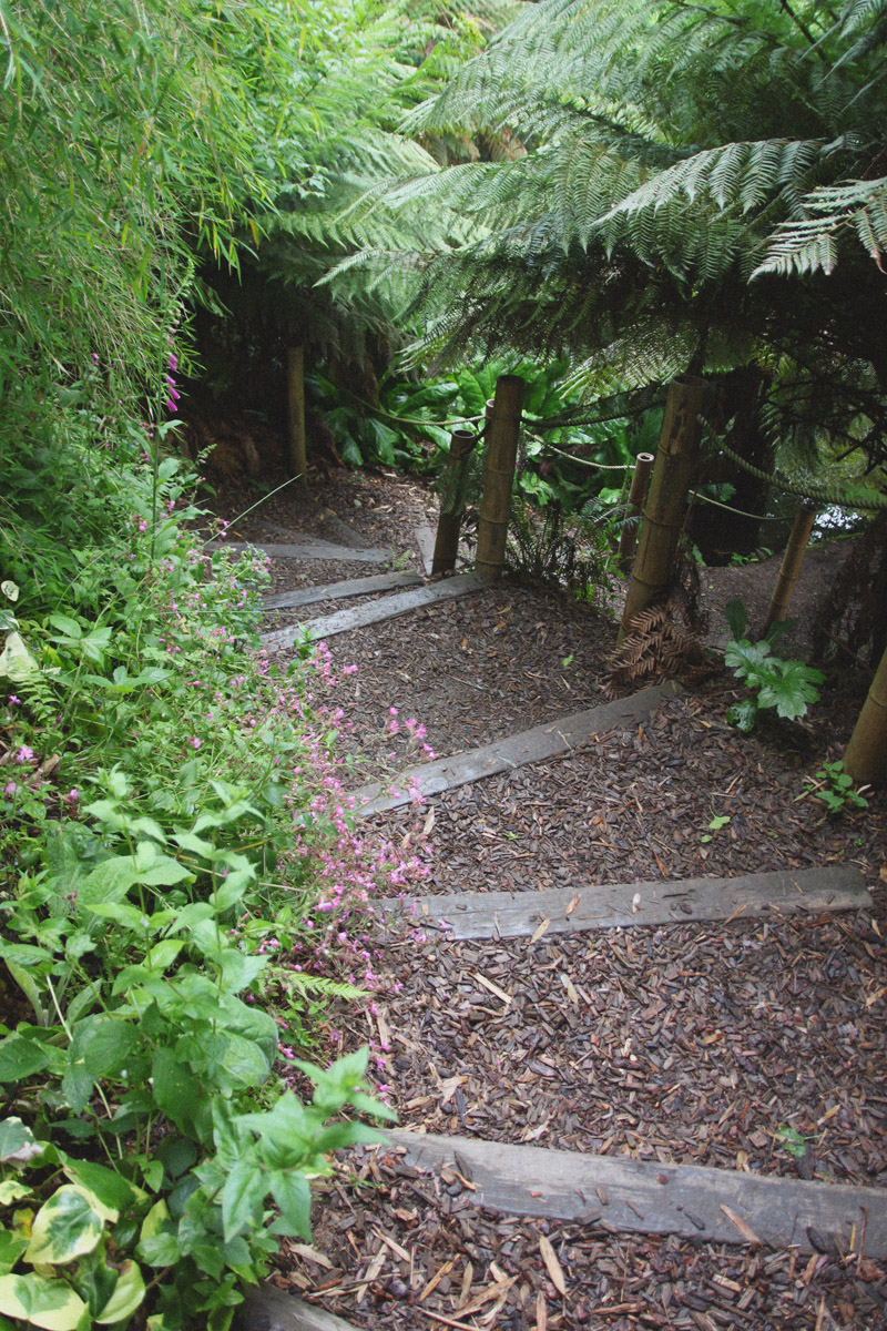 The Lost Gardens of Heligan