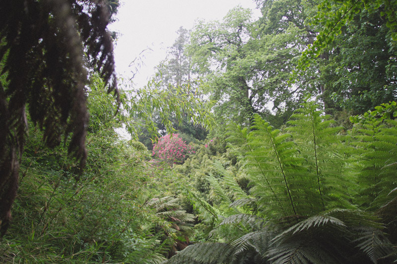 The Lost Gardens of Heligan