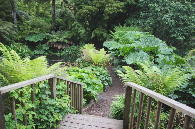 The Lost Gardens of Heligan