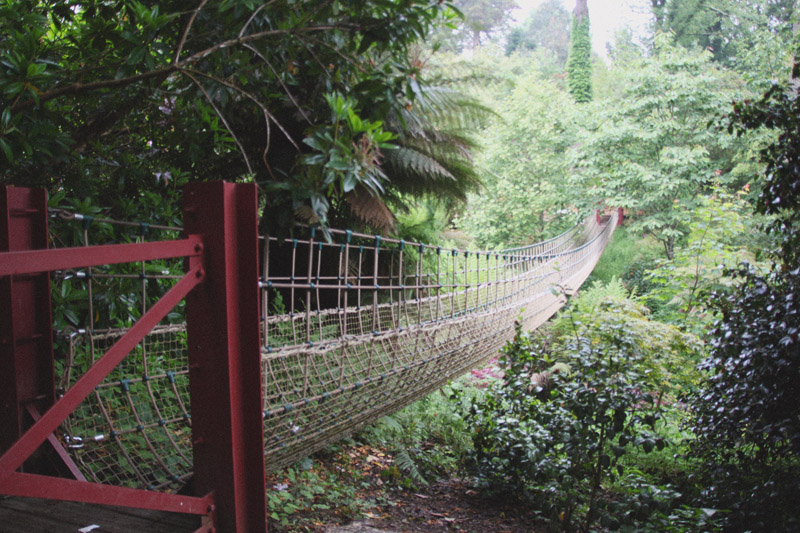 The Lost Gardens of Heligan