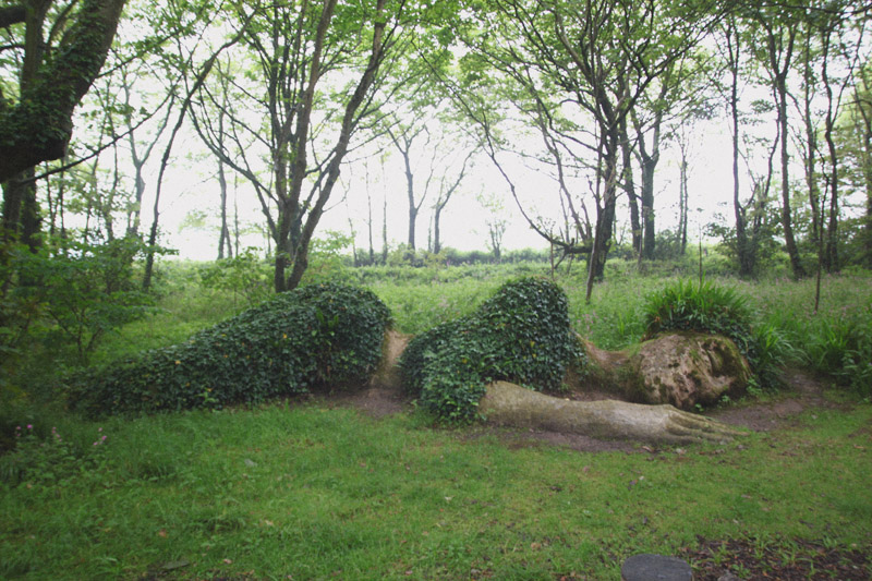 The Lost Gardens of Heligan