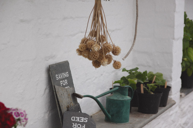 The Lost Gardens of Heligan