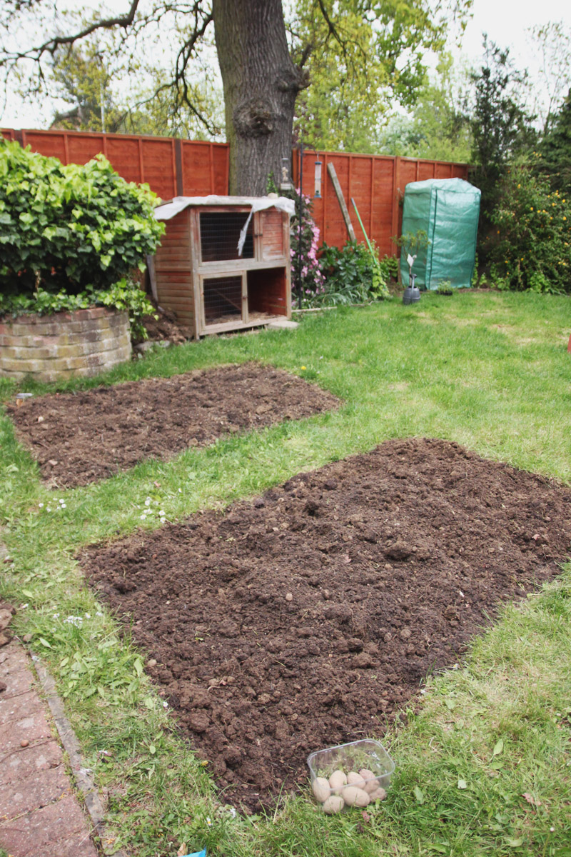 Vegetable Garden 