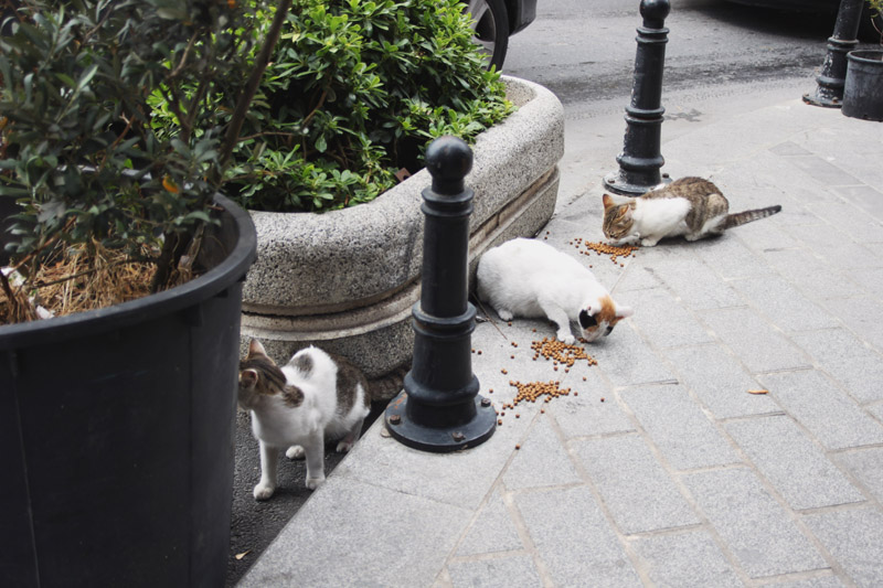 Istanbul 