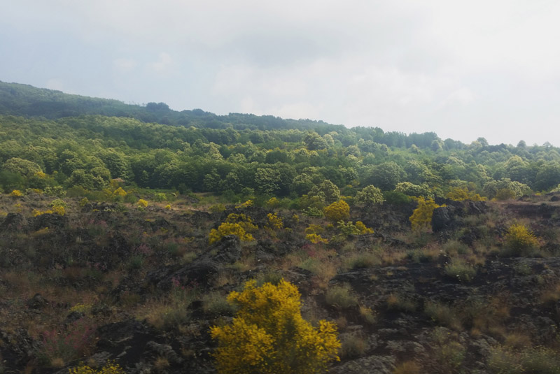 Mount Etna, Sicily